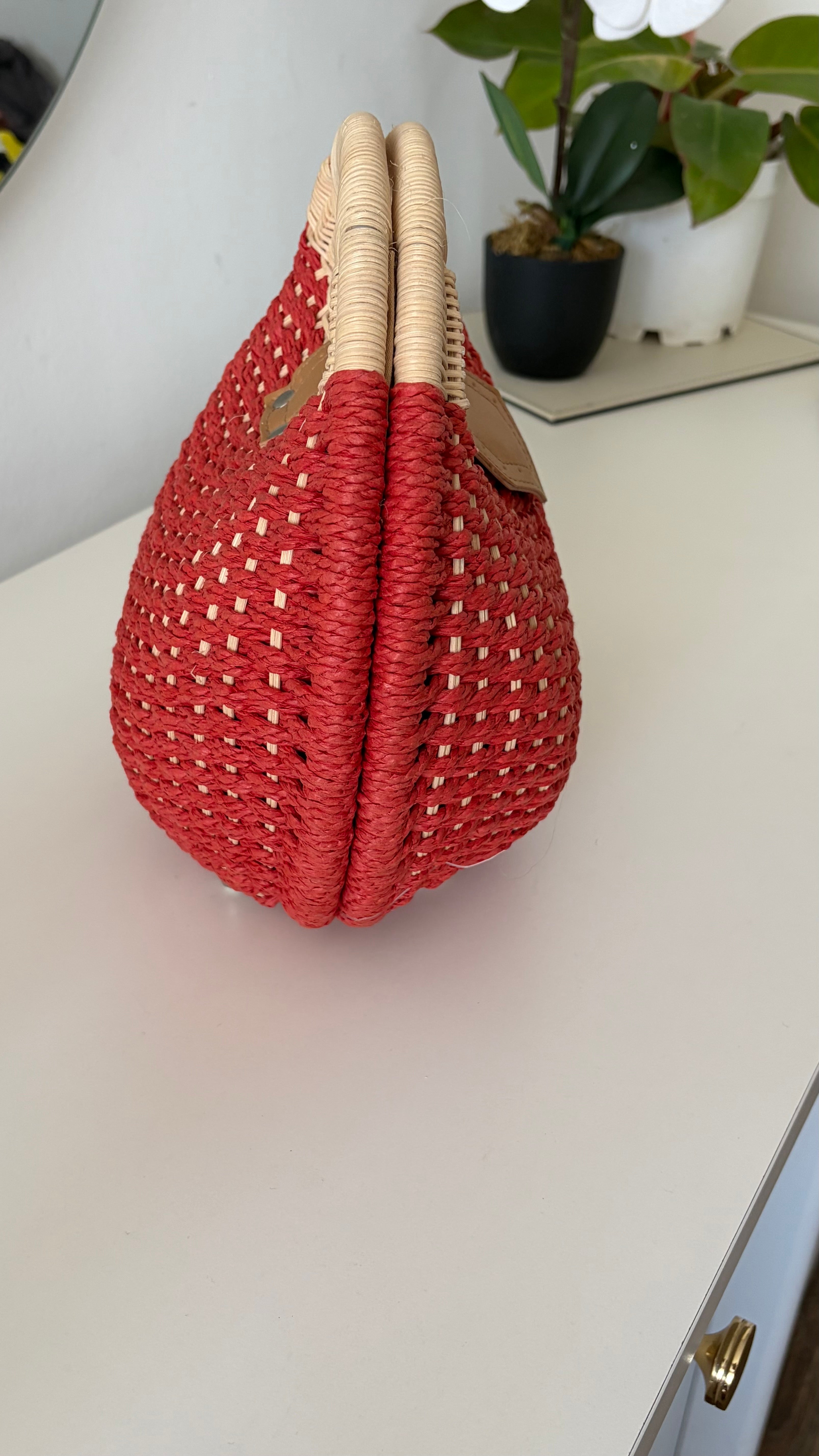 Beach ball bag