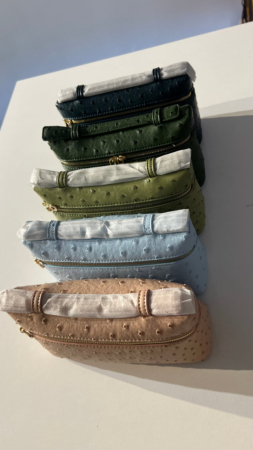 LP 19 ostrich