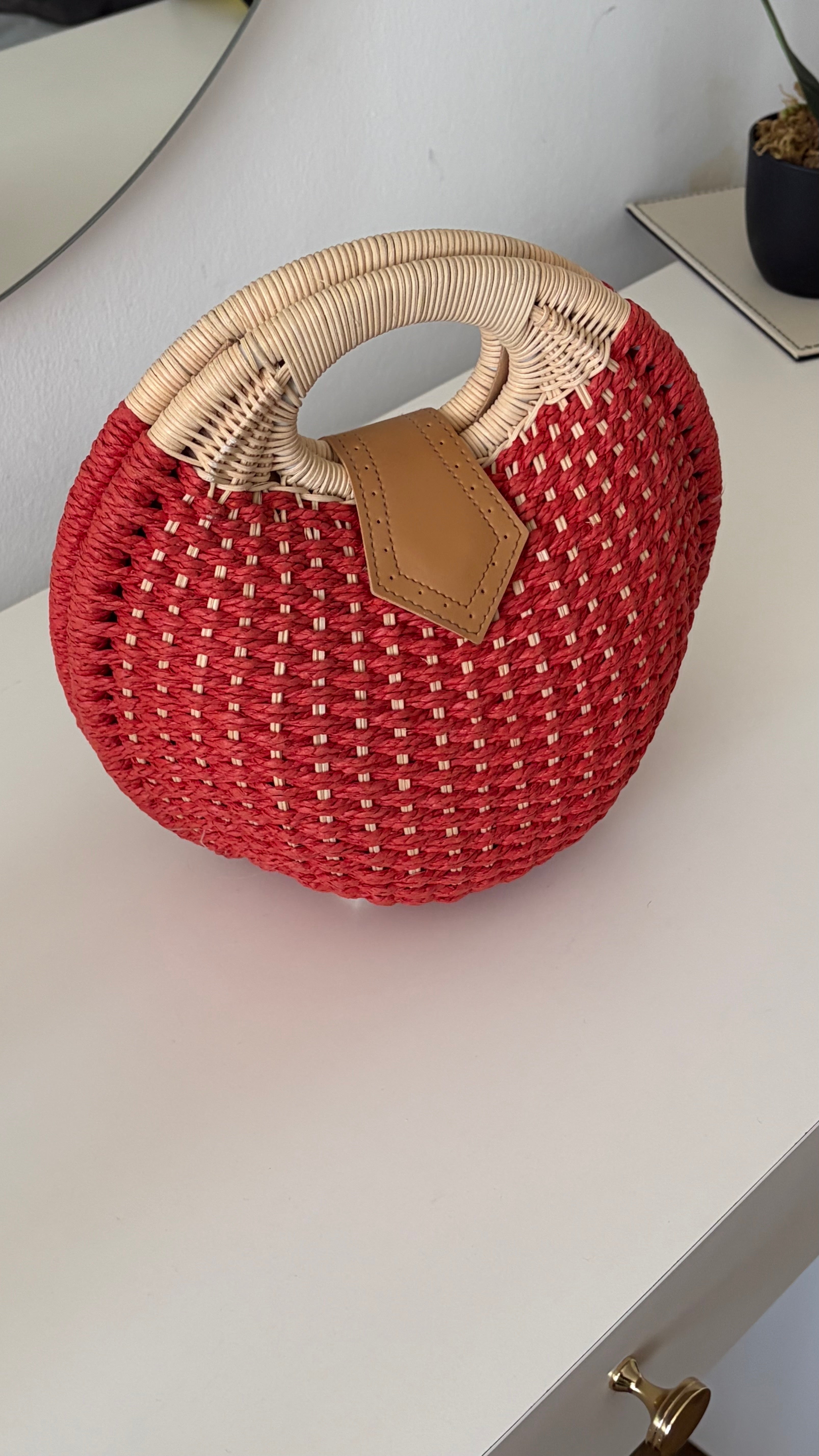 Beach ball bag