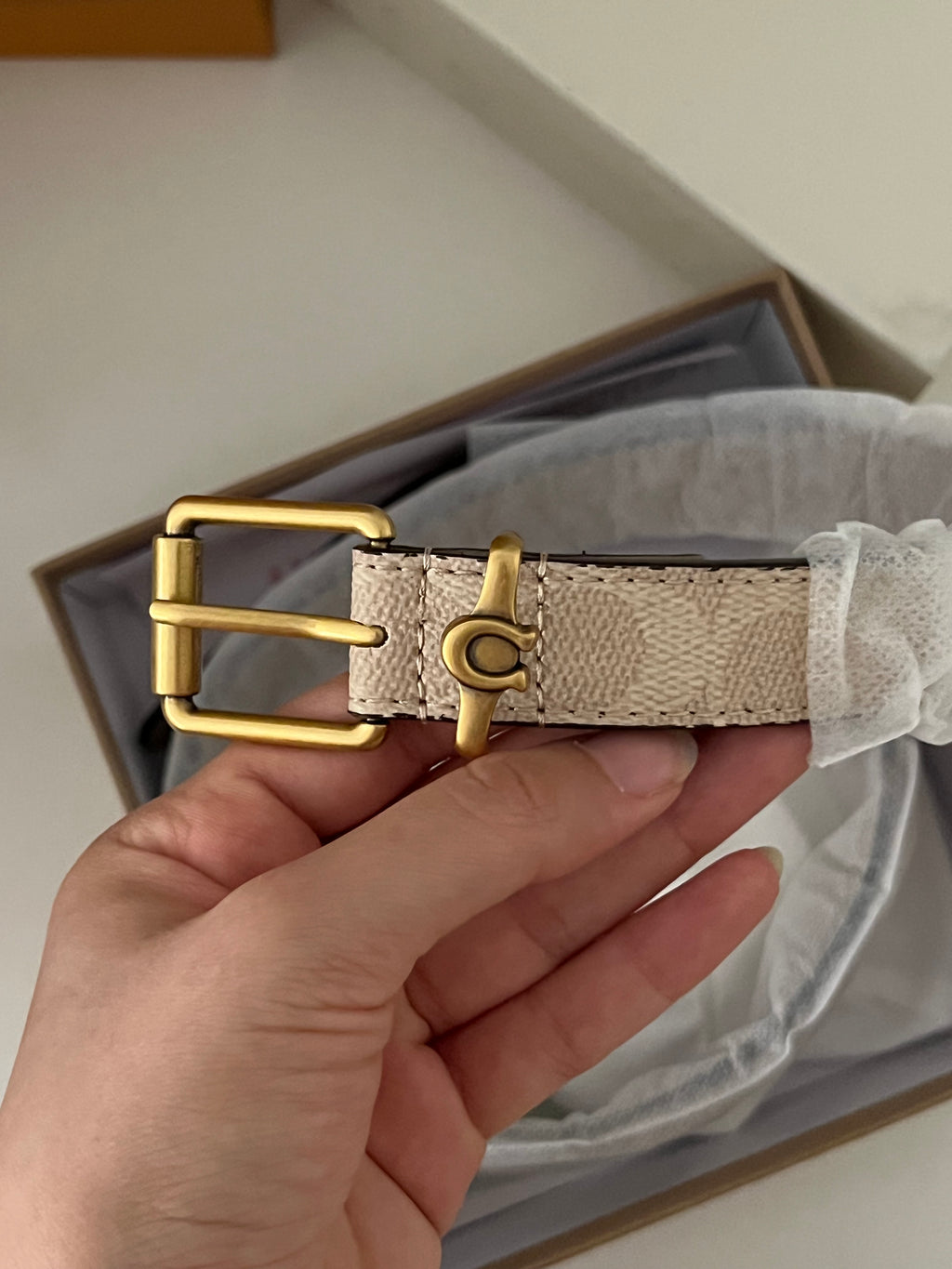 Coach belt