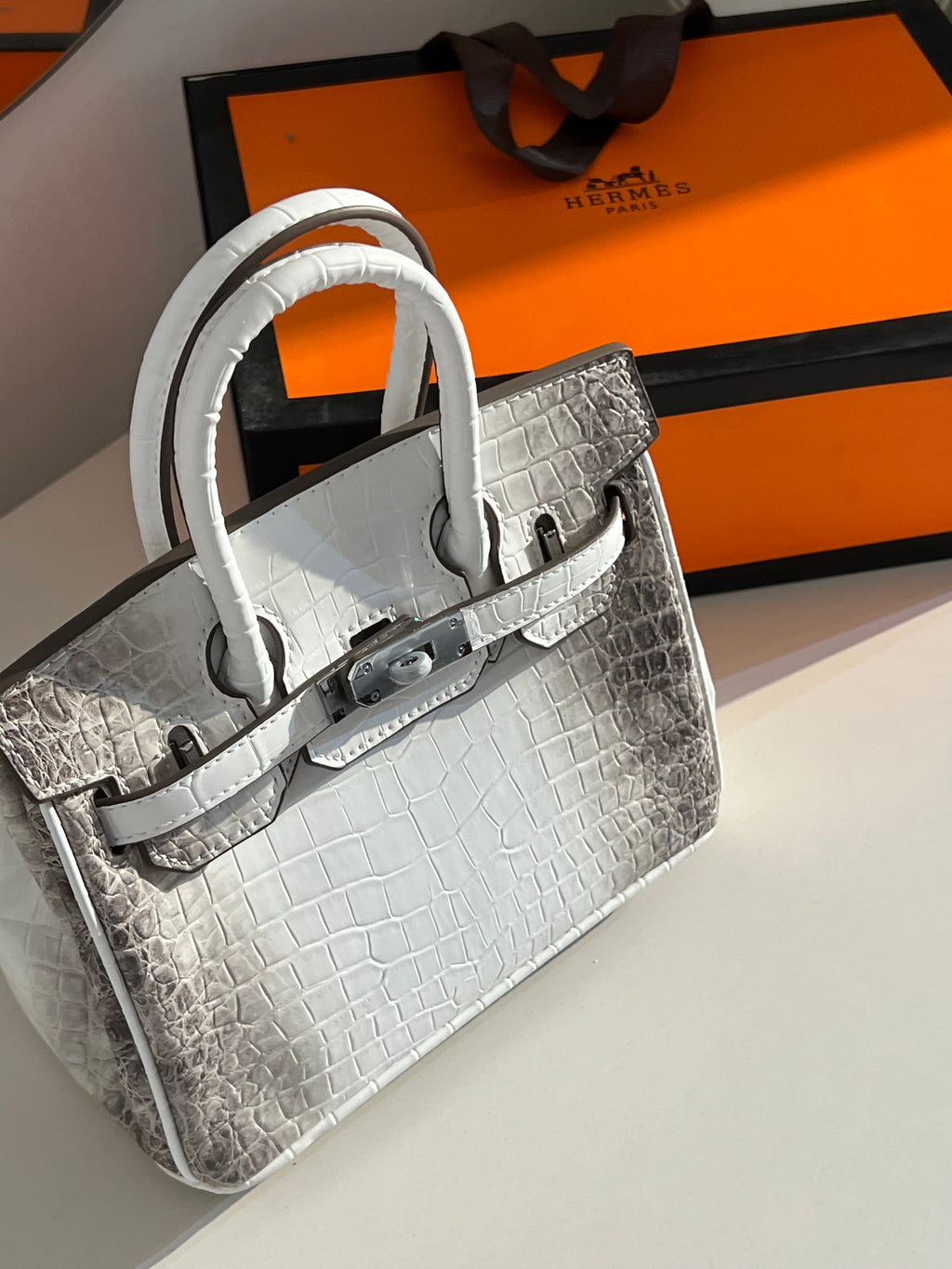 Mini himalaya birkin