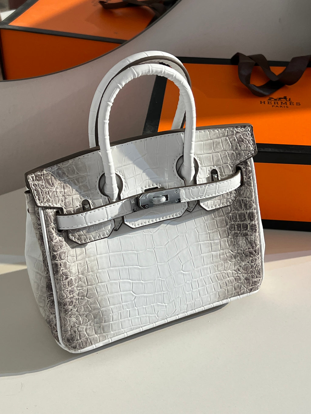 Mini himalaya birkin