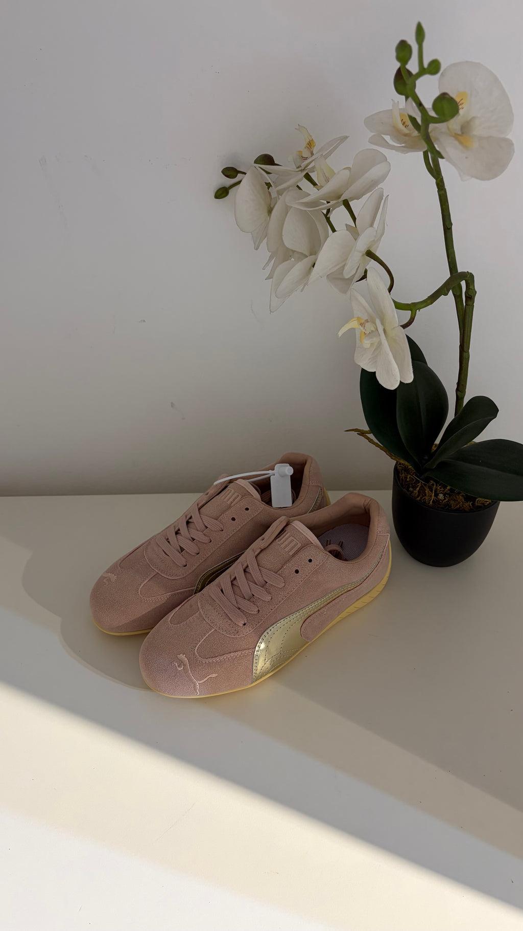 Puma shoes