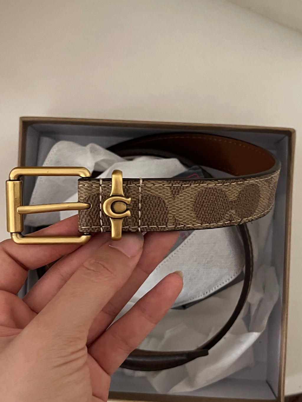 Coach belt