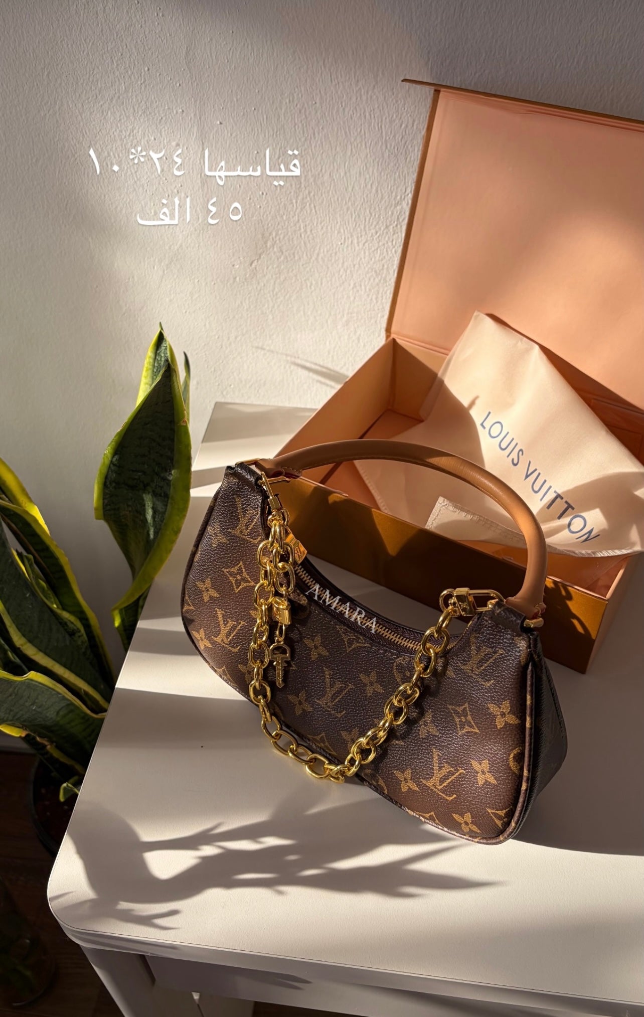 LV mini brown